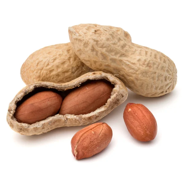 Opened and whole peanut or groundnut pod isolated on white backg — Stock Photo, Image