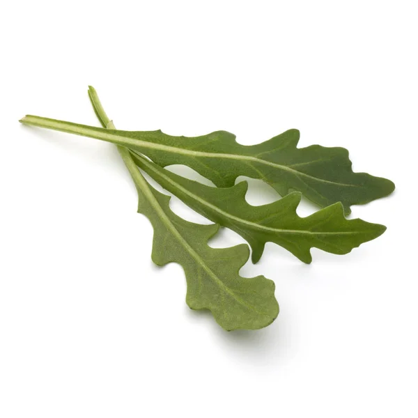 Ensalada de rúcula dulce o hojas de lechuga cohete aisladas en ba blanca —  Fotos de Stock