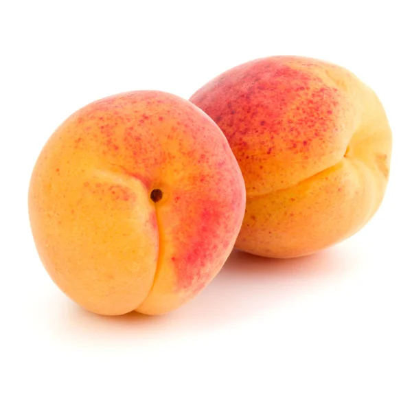 Два фрукта абрикоса на белом фоне — стоковое фото