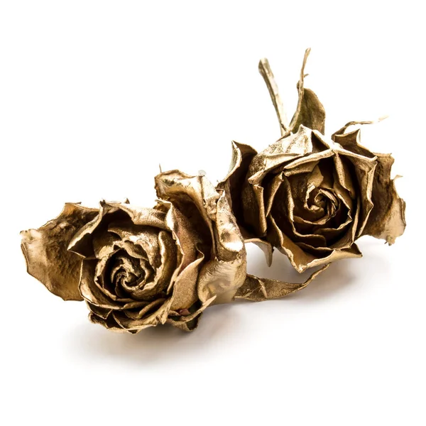 Дві Золоті Троянди Ізольовані Білому Тлі Золоті Сушені Голови Квітів — стокове фото