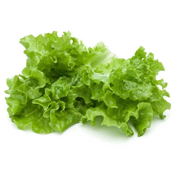 Feuilles de salade de laitue verte fraîche isolées sur fond blanc — Photo