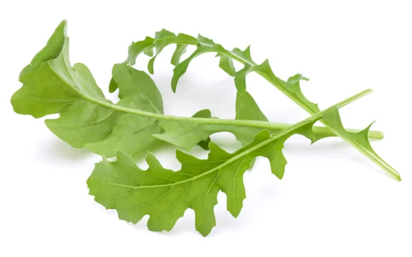 Primer plano de estudio de hojas de rúcula fresca verde aislado en wh — Foto de Stock