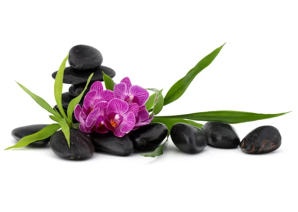Zen oblázky a orchidej květina. Kamenné lázně a zdravotnictví koncepce. — Stock fotografie