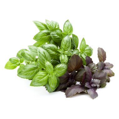 Beyaz arka plan kesme izole fesleğen buket çeşitleri. 