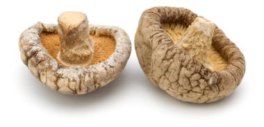 Beyaz arka plan üzerinde izole kurutulmuş shiitake mantar