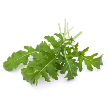 Stüdyo çekim taze rucola yaprakları yeşil wh izole kapatmak
