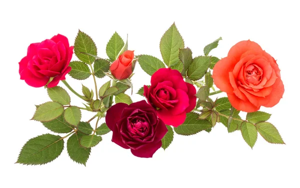 Πολύχρωμο Τριαντάφυλλο Μπουκέτο Πράσινα Φύλλα Που Απομονώνονται Λευκό Φόντο Cutout — Φωτογραφία Αρχείου