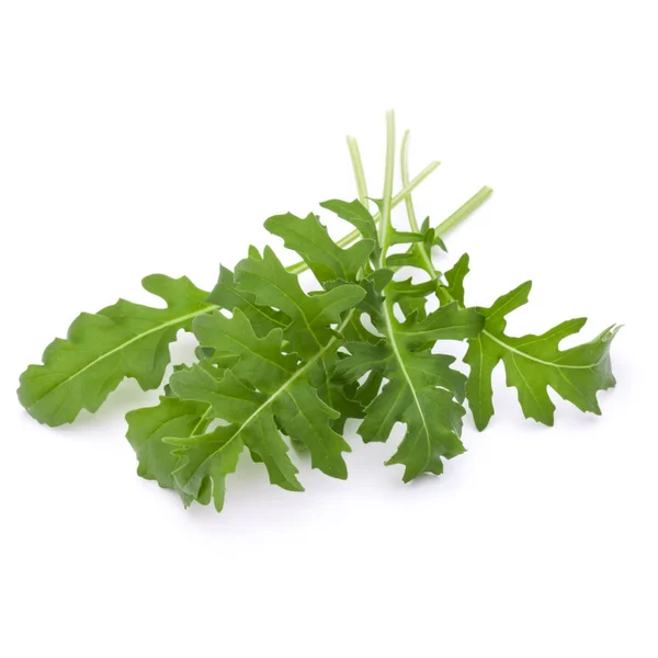 Close up studio shot of green fresh rucola leaves isolated on wh — Stock Photo, Image