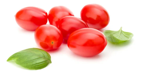 Świeży pomidor śliwkowy z bazylią liść na białym tle — Zdjęcie stockowe