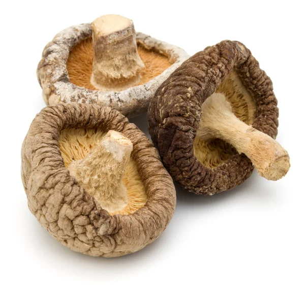 Gedroogde Shiitake Paddestoelen Geïsoleerd Witte Achtergrond — Stockfoto