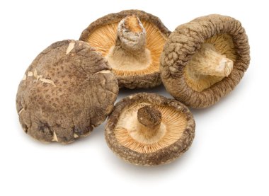 Beyaz arka plan üzerinde izole kurutulmuş shiitake mantar
