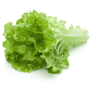 Beyaz arka planda taze yeşil marul salatası yaprakları