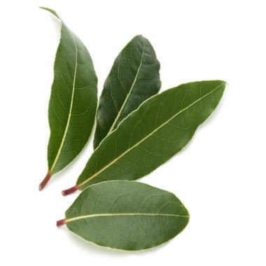 aromatik defne yaprağı üzerinde beyaz bir arka plan kesme izole