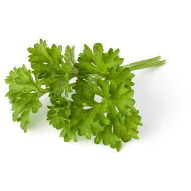 Beyaz arka plan kesme izole demet maydanoz yaprakları
