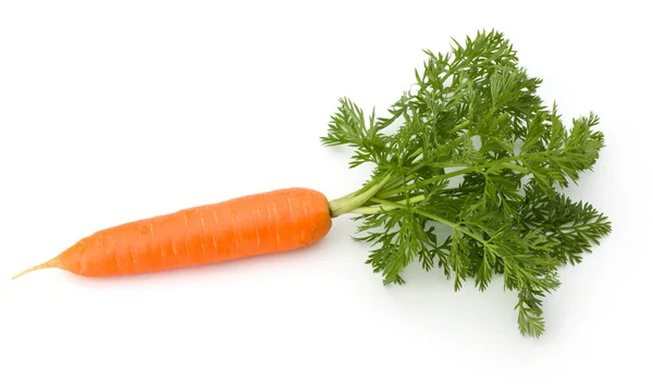 Single carrot Stock Photos, Royalty Free Single carrot ...