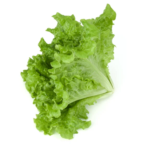 Folhas Salada Alface Verde Fresca Isoladas Sobre Fundo Branco — Fotografia de Stock