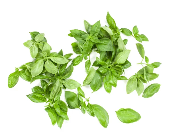 Sweet Genovese Basilicum Verlaat Achtergrond Regeling Geïsoleerd Wit Bovenaanzicht — Stockfoto