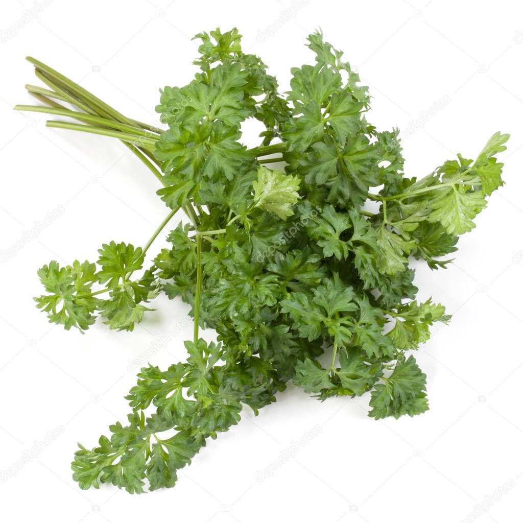 parsley leaves bunch isolated on white background cutout