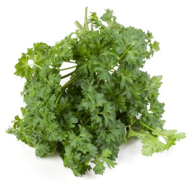 Maydanoz sürüsü beyaz arkaplanda izole