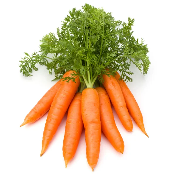 Carrots Leaves Isolated White Background — Stock Photo, Image