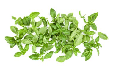 Arka plan aranjman beyaz izole tatlı Cenevizli fesleğen yaprağı. Üstten görünüm.