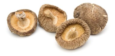 Beyaz arka plan üzerinde izole kurutulmuş shiitake mantar