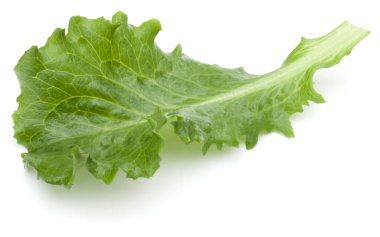 Stüdyo çekim taze yeşil hindiba salatası yaprak beyaz arka plan üzerinde izole kapatmak.