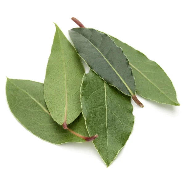 Hojas Laurel Aromáticas Aisladas Sobre Fondo Blanco Recorte — Foto de Stock