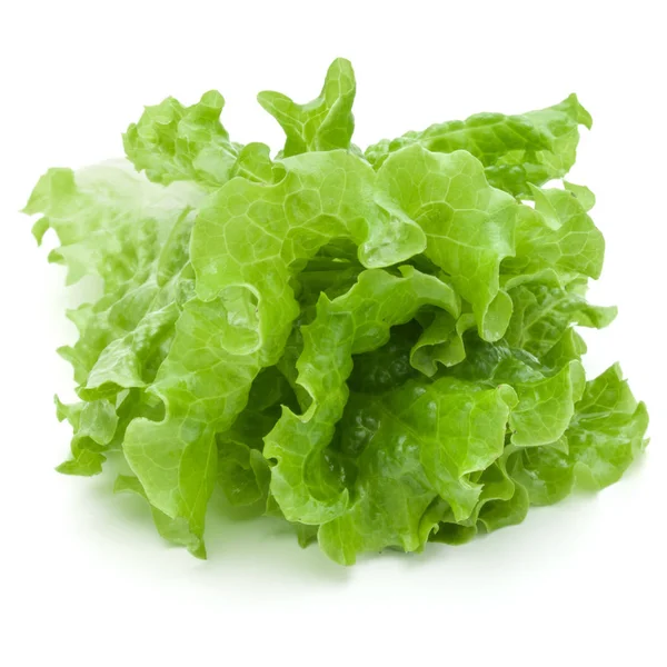 Verse Groene Sla Salade Bladeren Geïsoleerd Witte Achtergrond — Stockfoto