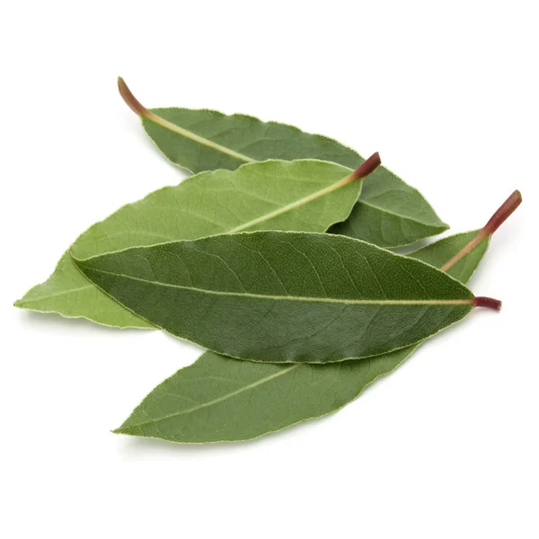 Hojas Laurel Aromáticas Aisladas Sobre Fondo Blanco Recorte — Foto de Stock