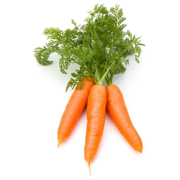 Carrot Vegetable Leaves Isolated White Background Cutout — Stock Photo, Image