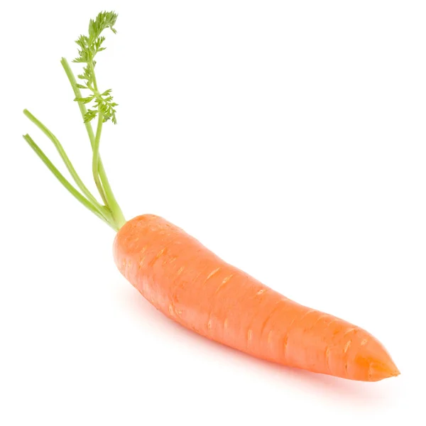 Carota Vegetale Con Foglie Isolate Sfondo Bianco Ritaglio — Foto Stock