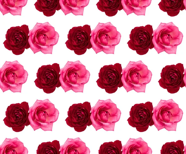 1 535 122 Rose Stock Photos Free Royalty Free Rose Images Depositphotos