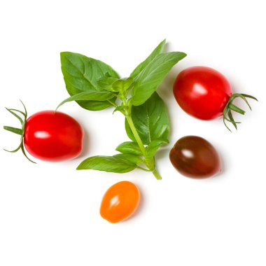 çeşitli renkli domates ve fesleğen yaprakları beyaz bac izole