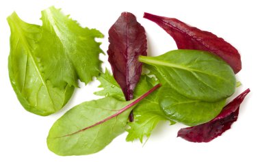 Farklı salata beyaz arka plan üzerinde izole avuç bırakır. Sayfanın Üstü