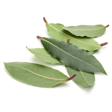 aromatik defne yaprağı 