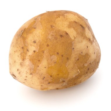 Beyaz arka plan üzerinde kesme izole yeni patates yumru