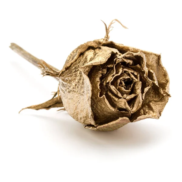 Uma rosa dourada isolada no recorte de fundo branco. Secagem dourada — Fotografia de Stock