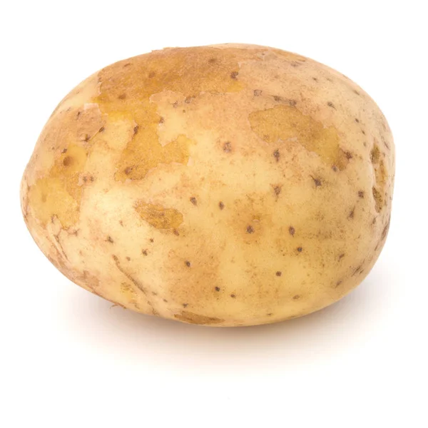 Nuovo tubero di patate isolato su sfondo bianco ritaglio — Foto Stock