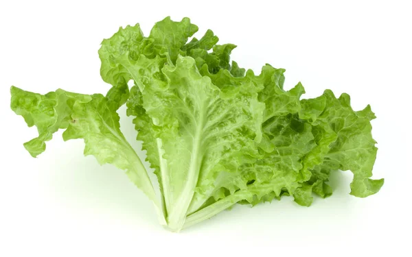 Verse groene sla salade bladeren geïsoleerd op witte achtergrond — Stockfoto