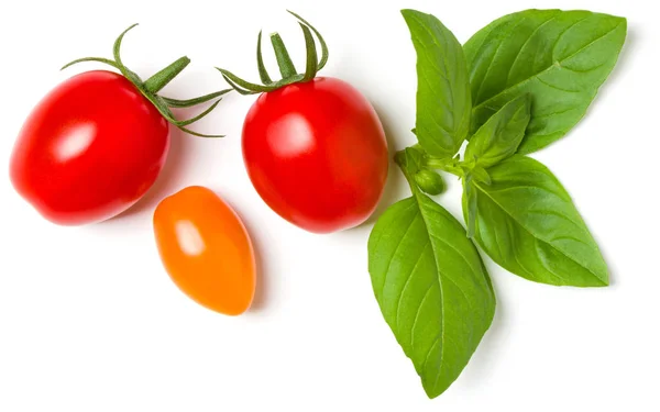 Różne kolorowe pomidory i liście bazylii izolowane na białym BAC — Zdjęcie stockowe