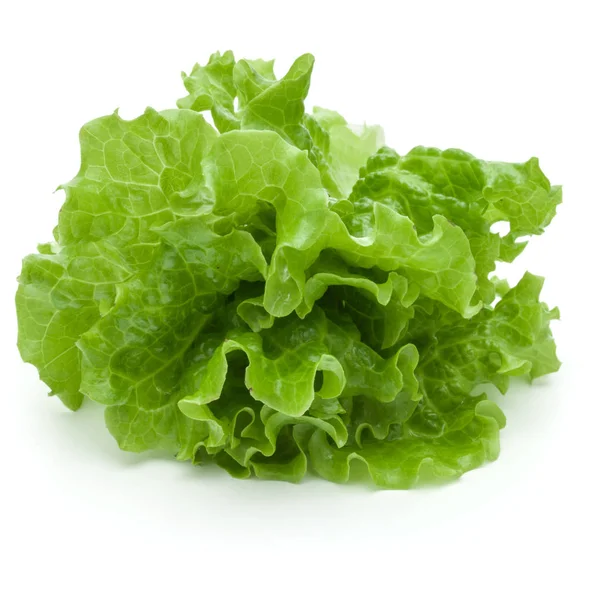 Hojas frescas de ensalada de lechuga verde aisladas sobre fondo blanco —  Fotos de Stock