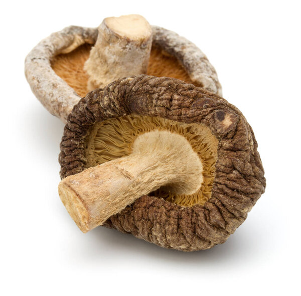 Dried Shiitake Mushroom isolated on white background