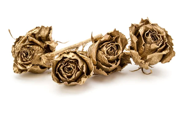 Gold roses isolated on white background cutout. Golden dried flo — Stock Photo, Image