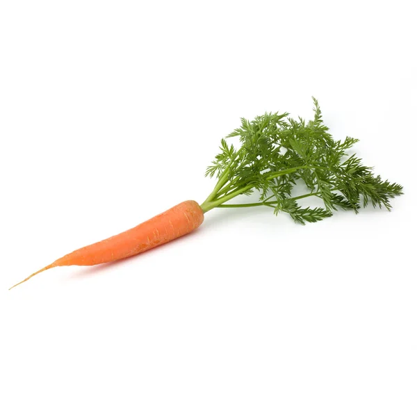 Sayuran wortel dengan daun terisolasi pada potongan latar belakang putih — Stok Foto