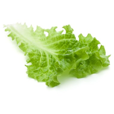 Beyaz arka planda taze yeşil marul salatası yaprakları