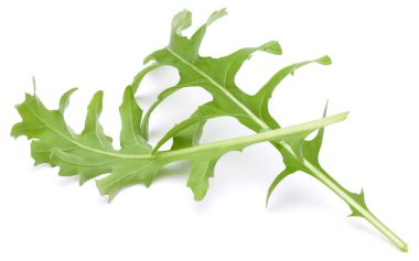 Stüdyo çekim taze rucola yaprakları yeşil wh izole kapatmak