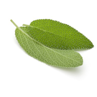 Adaçayı yaprakları üzerinde beyaz arka plan kesme izole. 