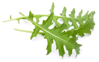 Stüdyo çekim taze rucola yaprakları yeşil wh izole kapatmak