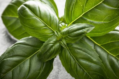 Reyhan siyah taş arka plan üzerinde bırakır. Üstten Görünüm.